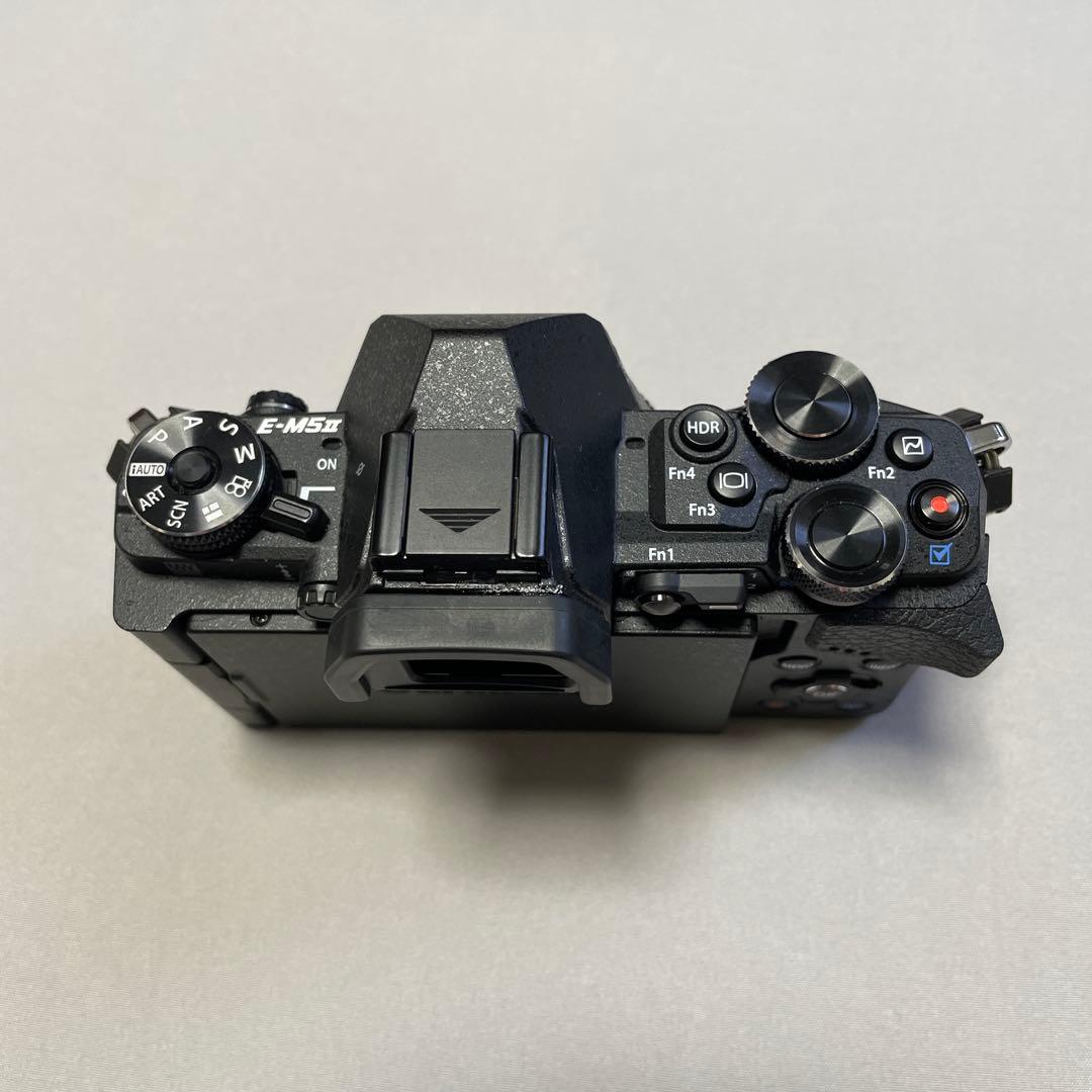 【美品】OLYMPUS OM-D E-M5 Mark II レンズキットセット