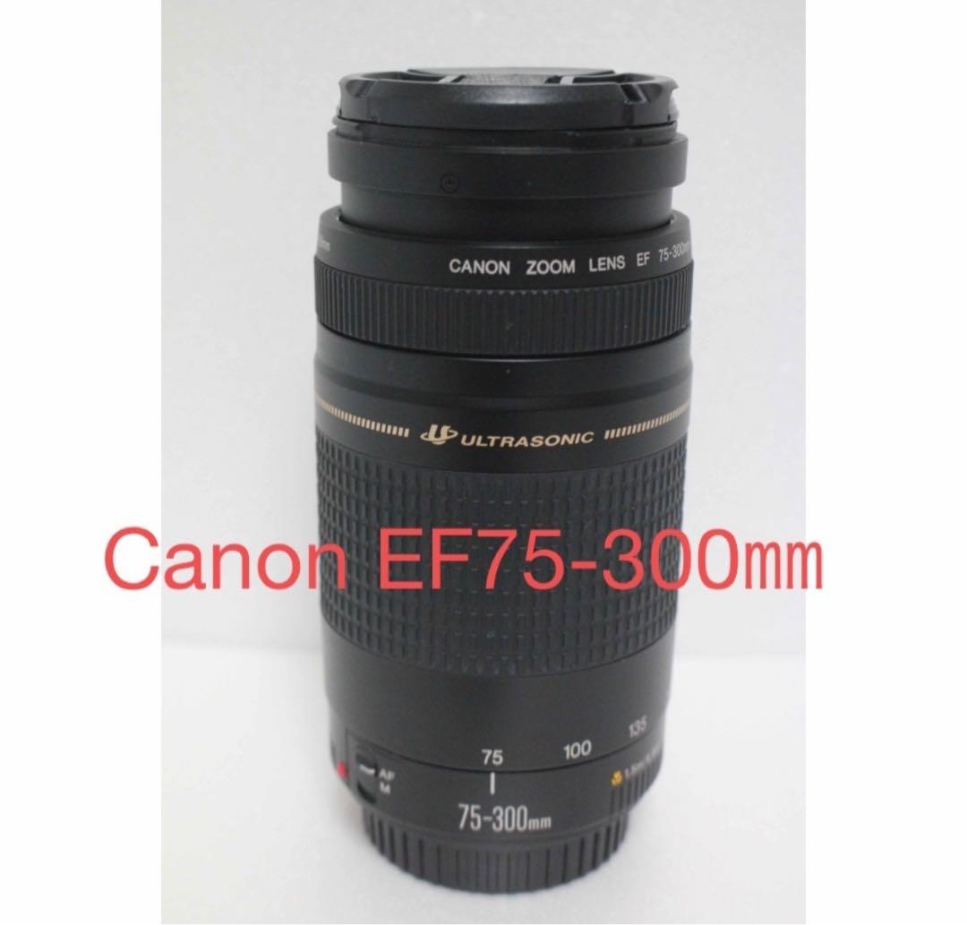 極上品☆迫力の300㎜☆フード付☆キャノン Canon EF75-300