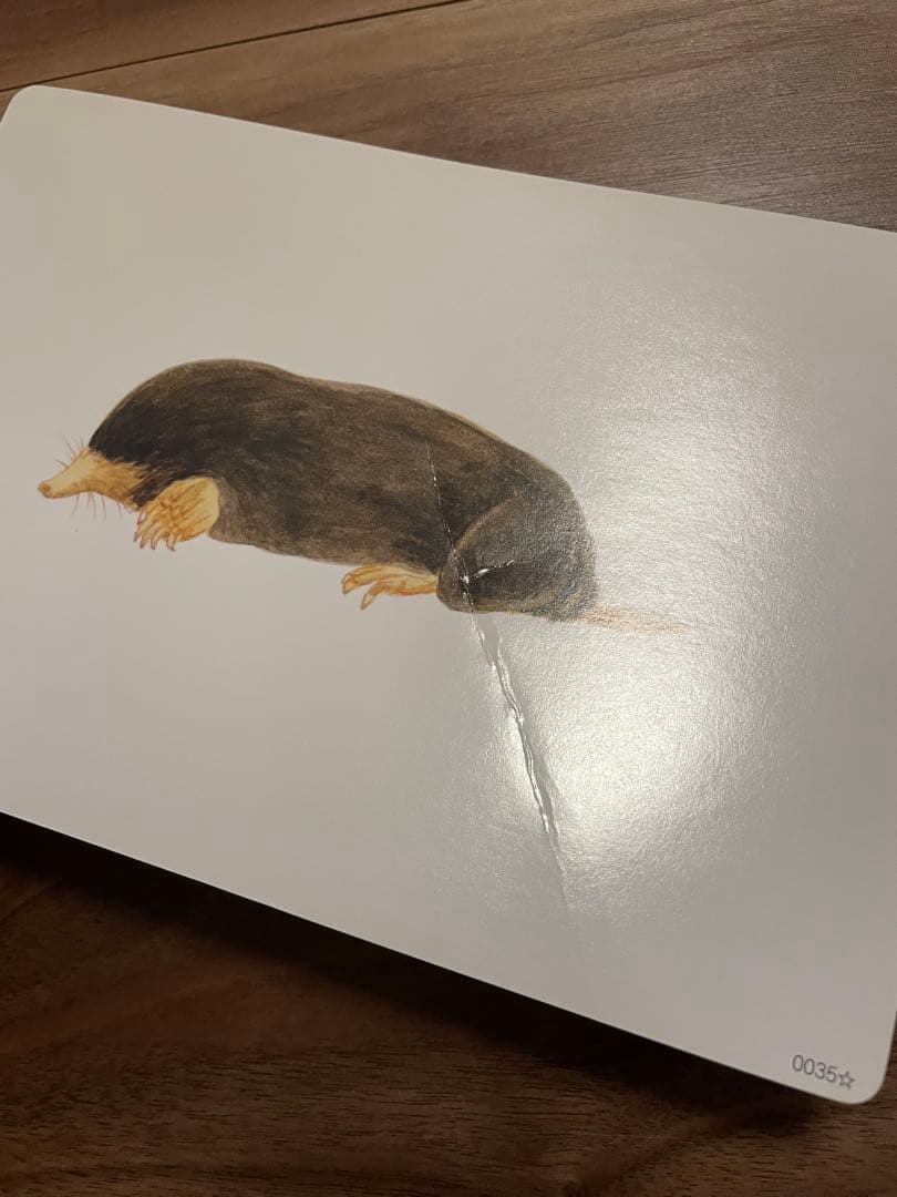 しちだ式　かな絵ちゃん　ABCセット①