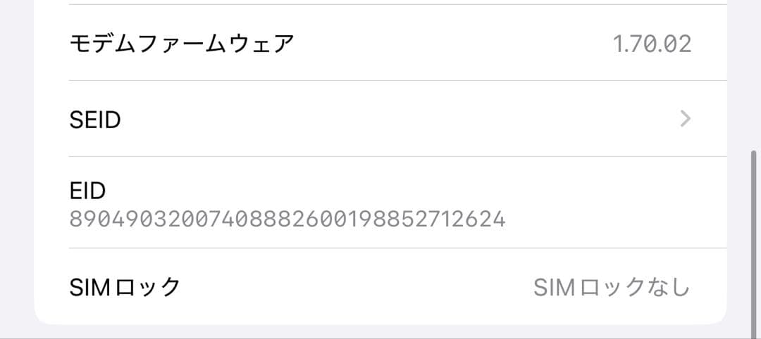 【海外版】Apple iPhone 16 Pro Max(シャッター音無)97%
