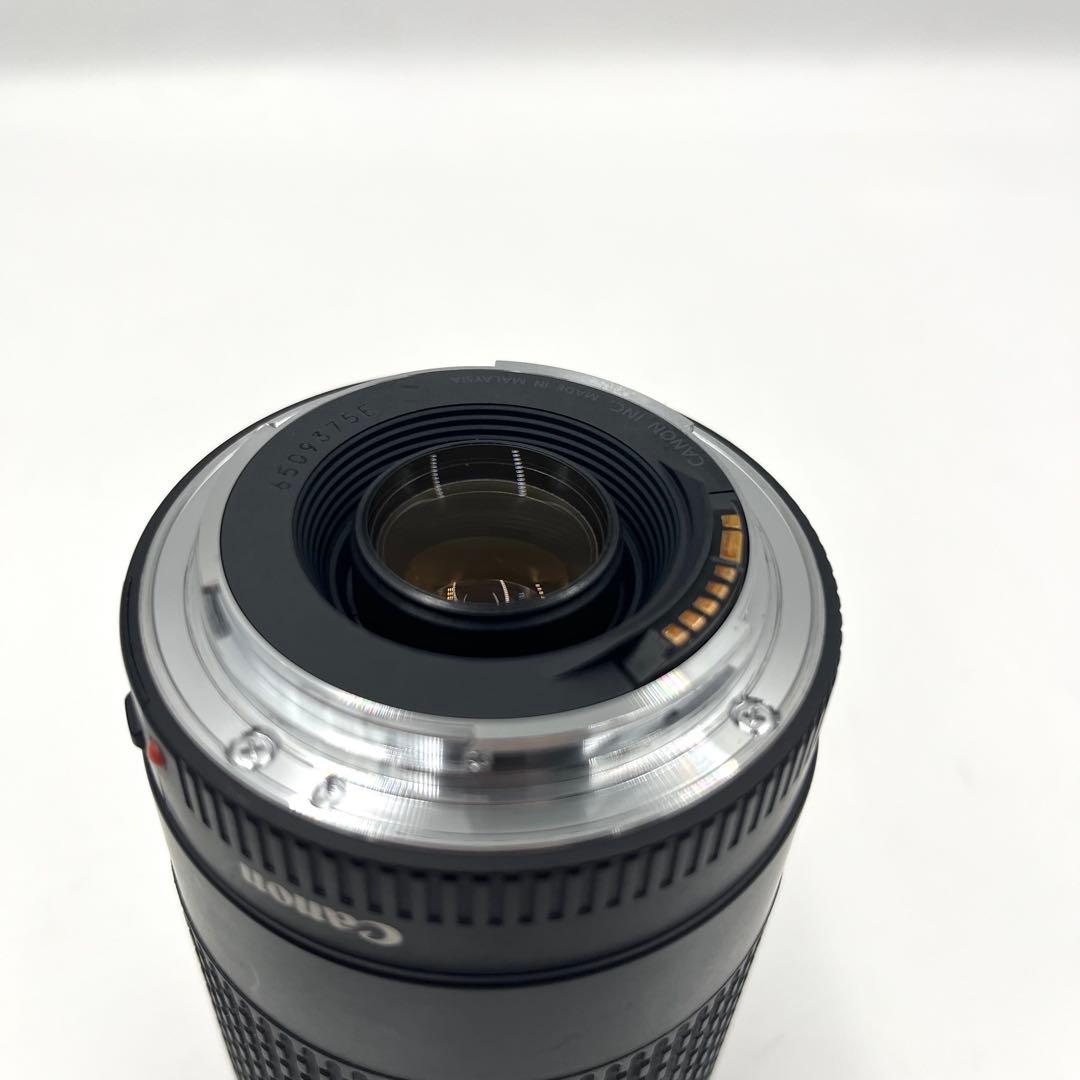 Canon EF 75-300mm 1:4-5.6 Ⅲ