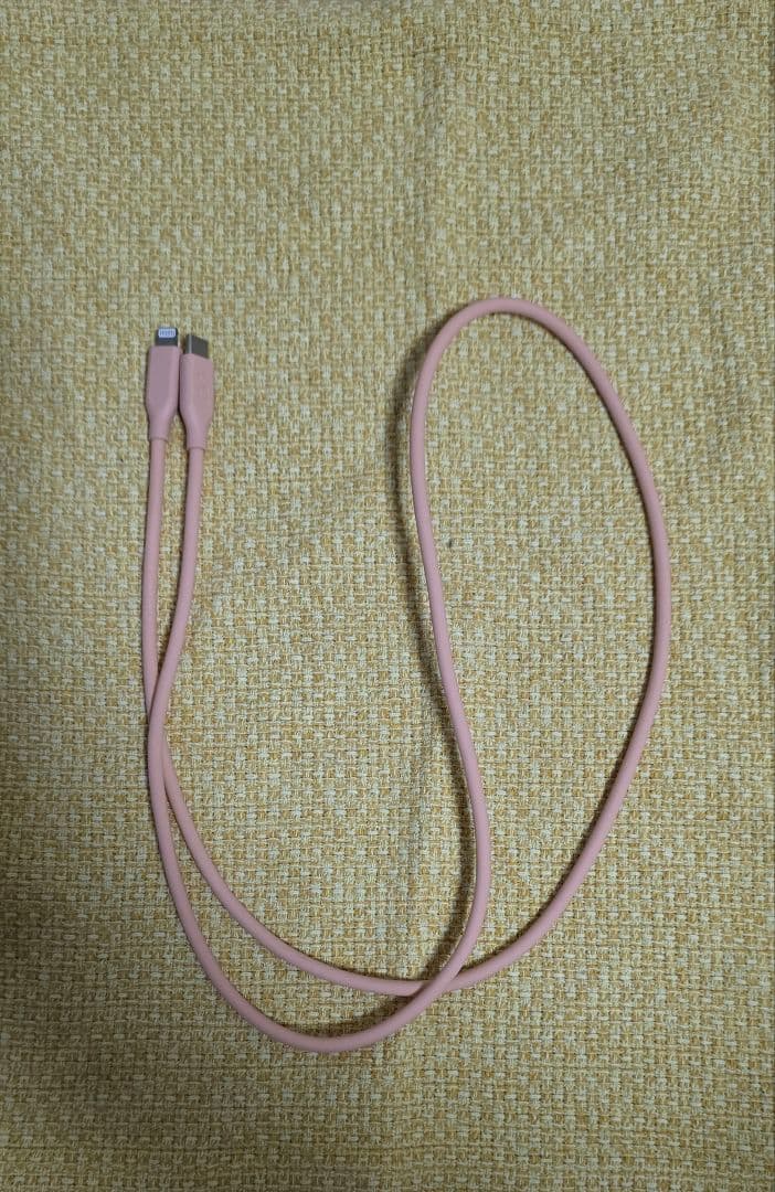 最終値下げ！Apple iPad 9.7インチ シルバー(第５世代)オマケつき