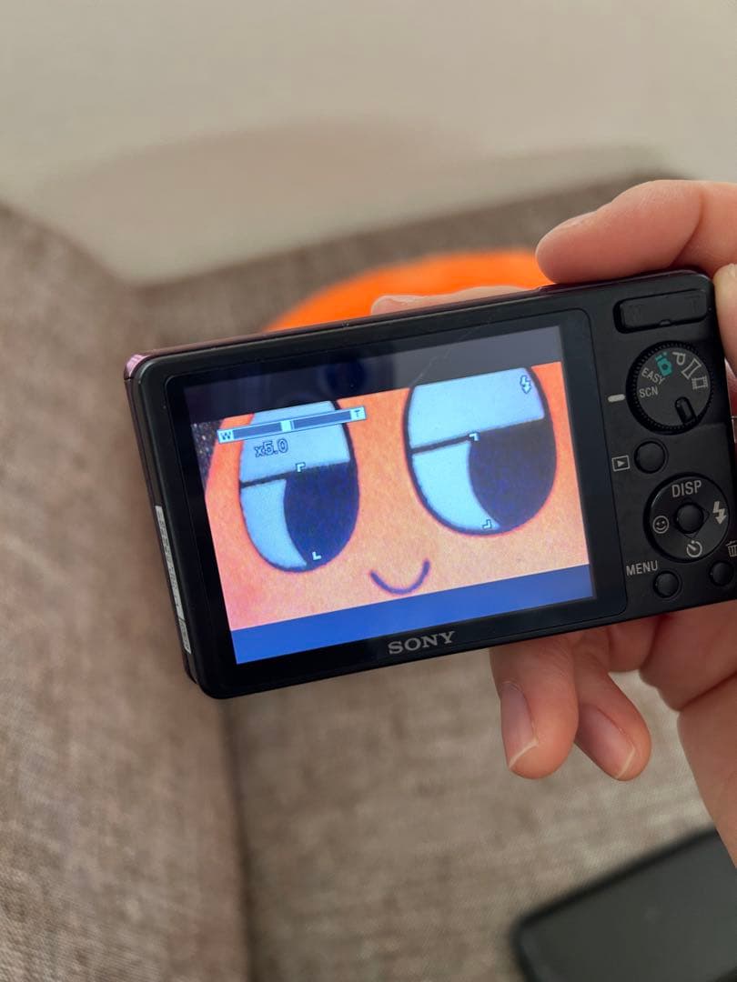 【動作品】【最終値下げ】SONY Cyber shot DSC-W380