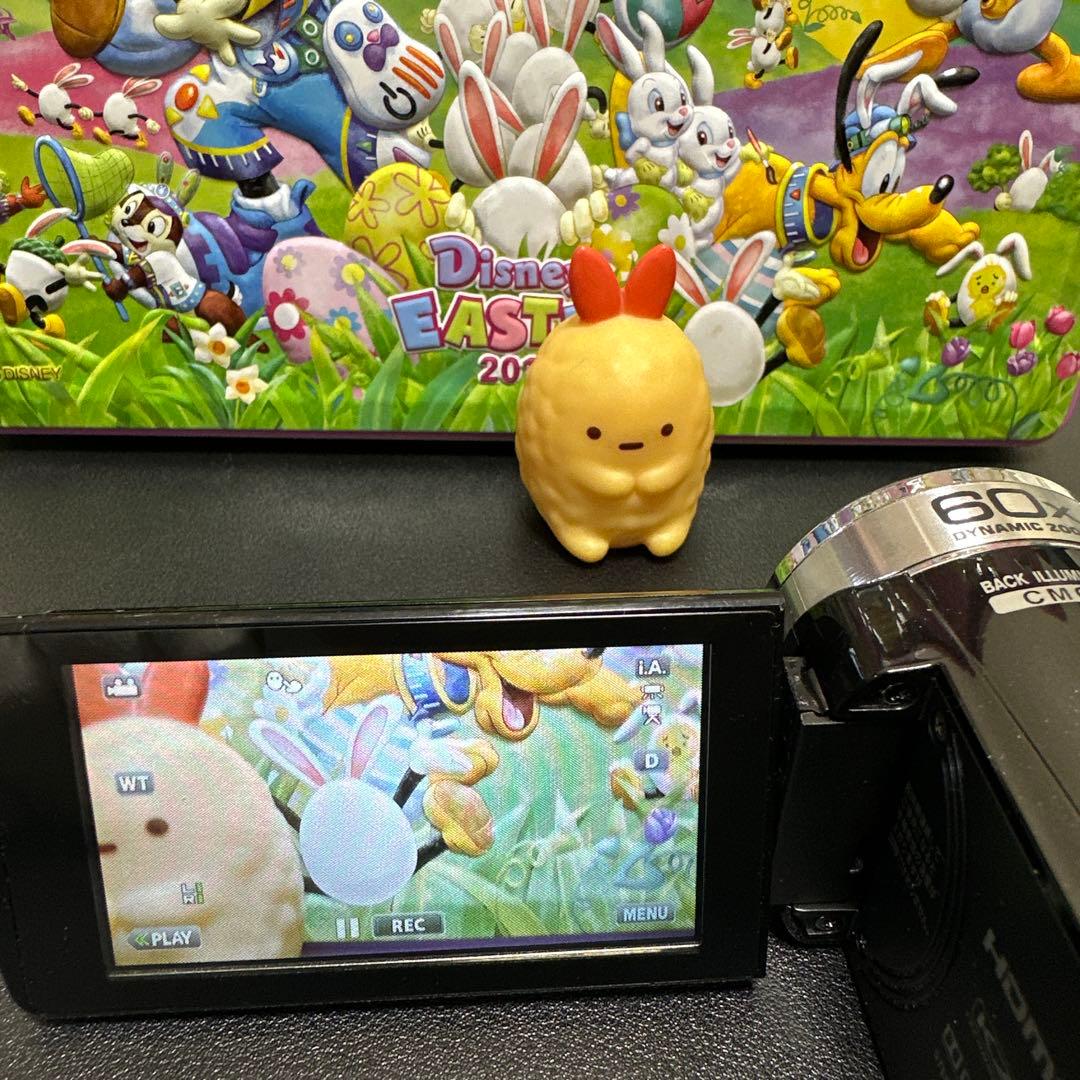 美品　JVC Everio GZ-HM199-B 動作確認済 SDカード付き