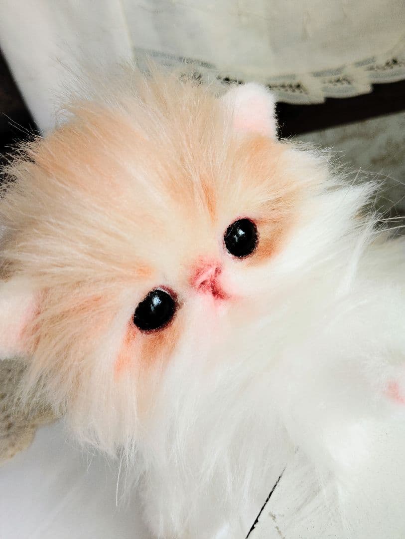 子猫のメイちゃん♡エキゾチックロングヘア♡アートドール♡ぬいぐるみ♡