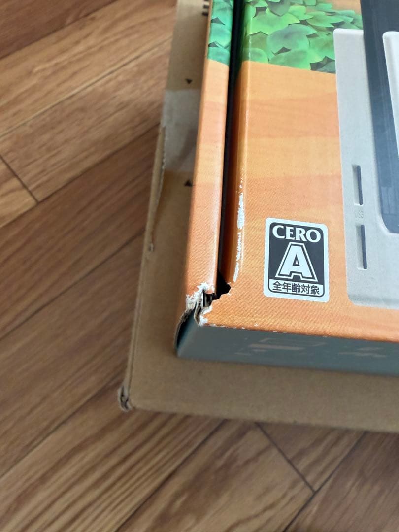 Nintendo Switch　本体　あつまれどうぶつの森　ケース・SDカード付