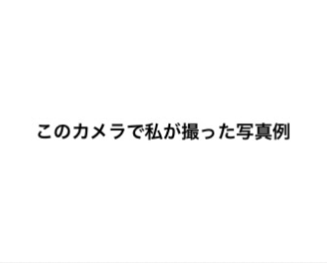 NikonD40 デジタル一眼レフ美品レンズセット 購入後早く配送いたします