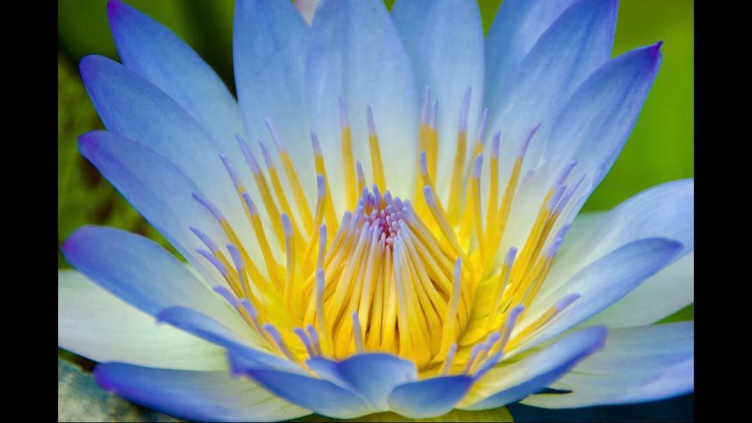 NikonD40 デジタル一眼レフ美品レンズセット 購入後早く配送いたします