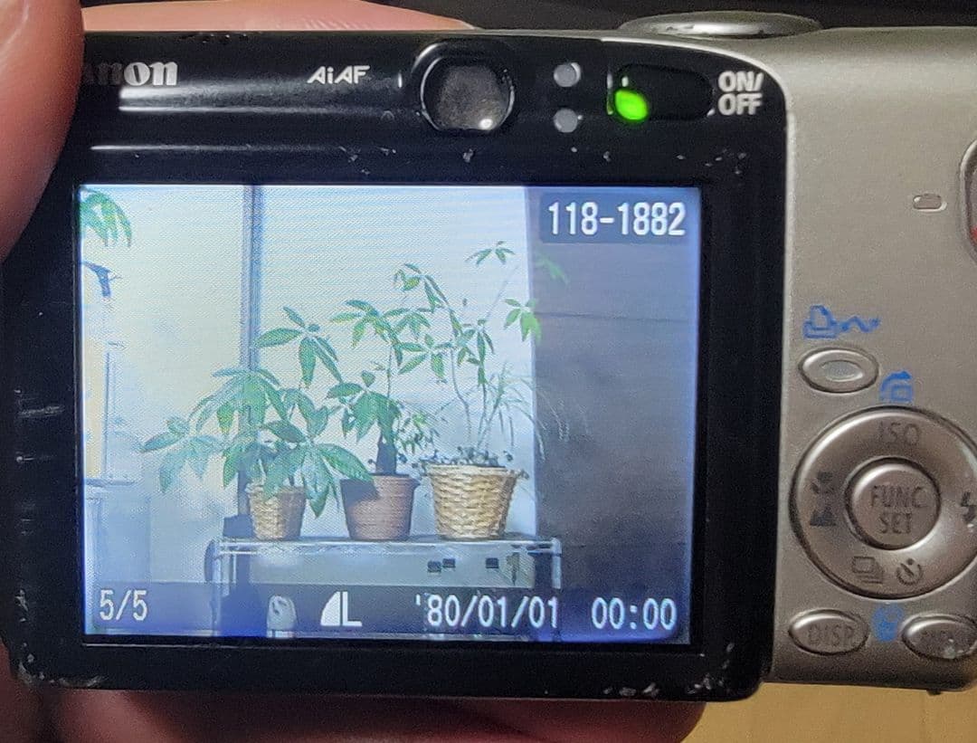 動作品！Canon IXY DIGITAL 800 IS