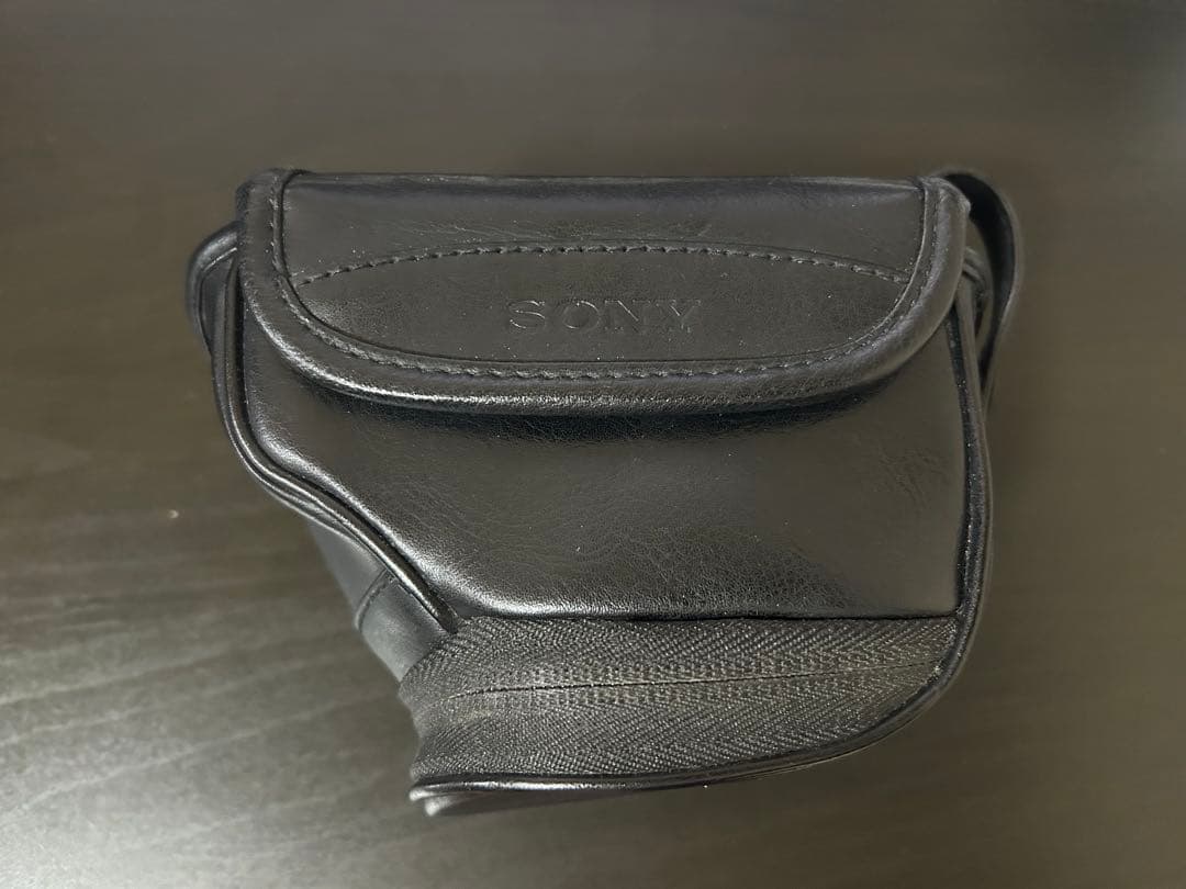 SONY ILCE-6000 ミラーレス一眼 レンズ　収納ケース付き