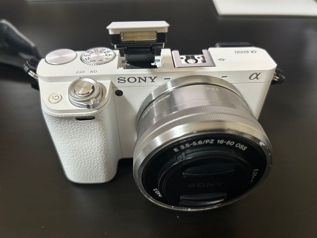 SONY ILCE-6000 ミラーレス一眼 レンズ　収納ケース付き