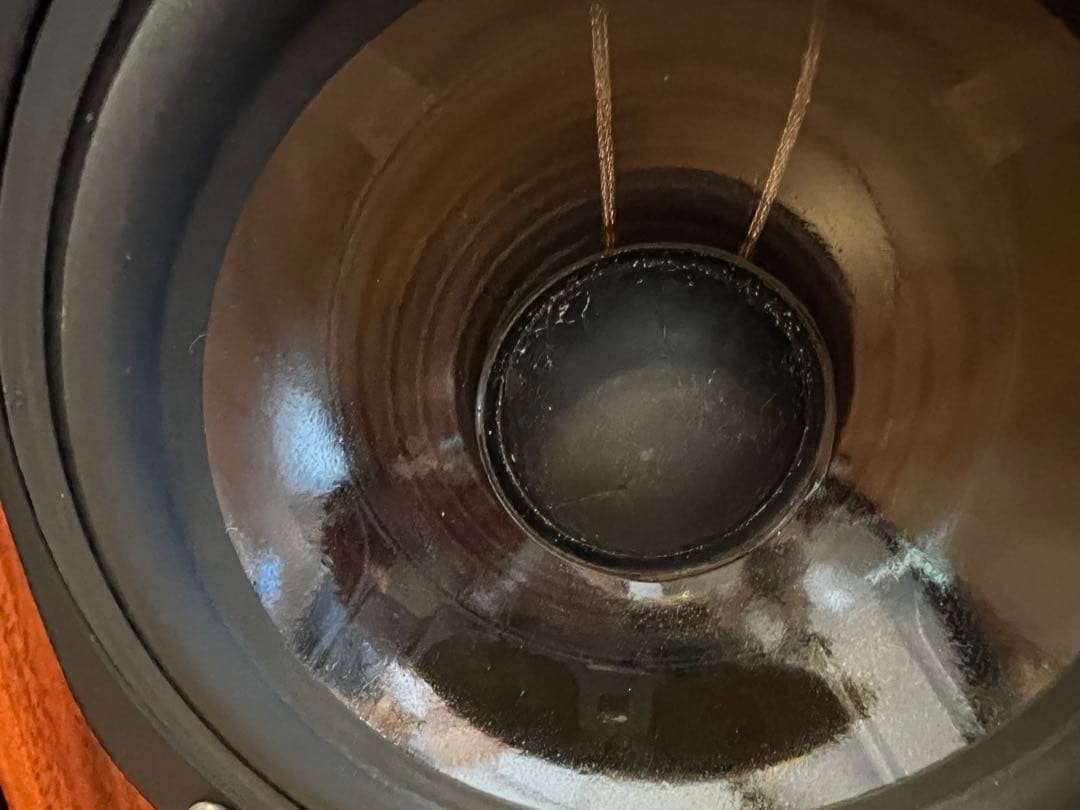 Vienna Acoustics S-1 ウィーンアコースティックス スピーカー