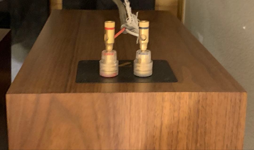 音工房Z Z1000-FE103A ※ユニット無し ※右側(左側とセット購入要)