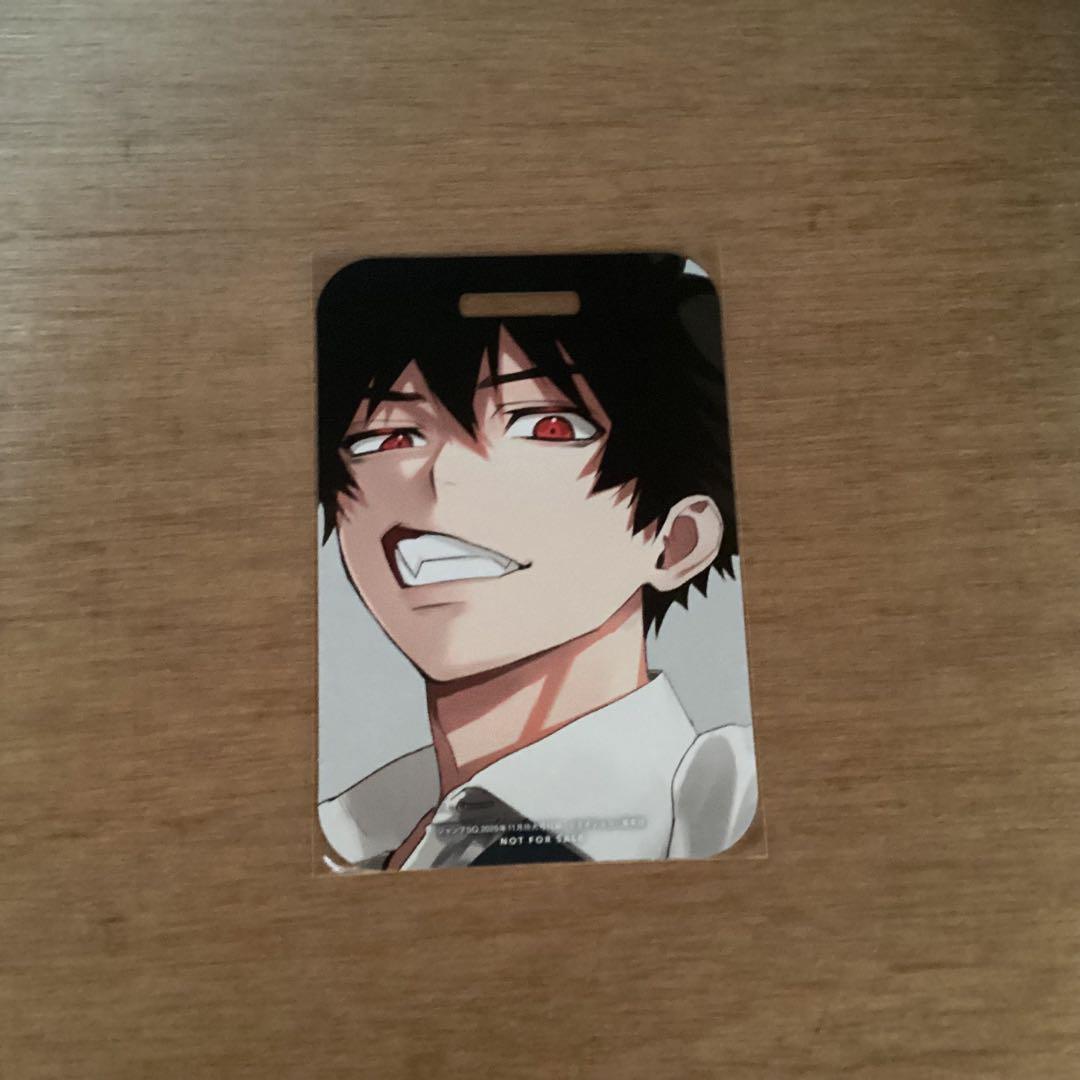 ファントムバスターズ 宍喰野虎落 パス風カード 33枚