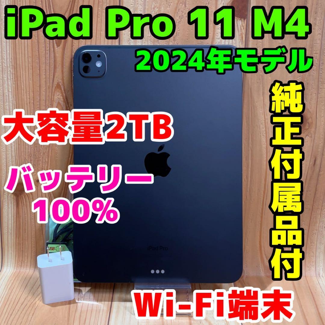 Wi-Fi 本体 iPad Pro 11 M4 2TB 437 スペースブラック