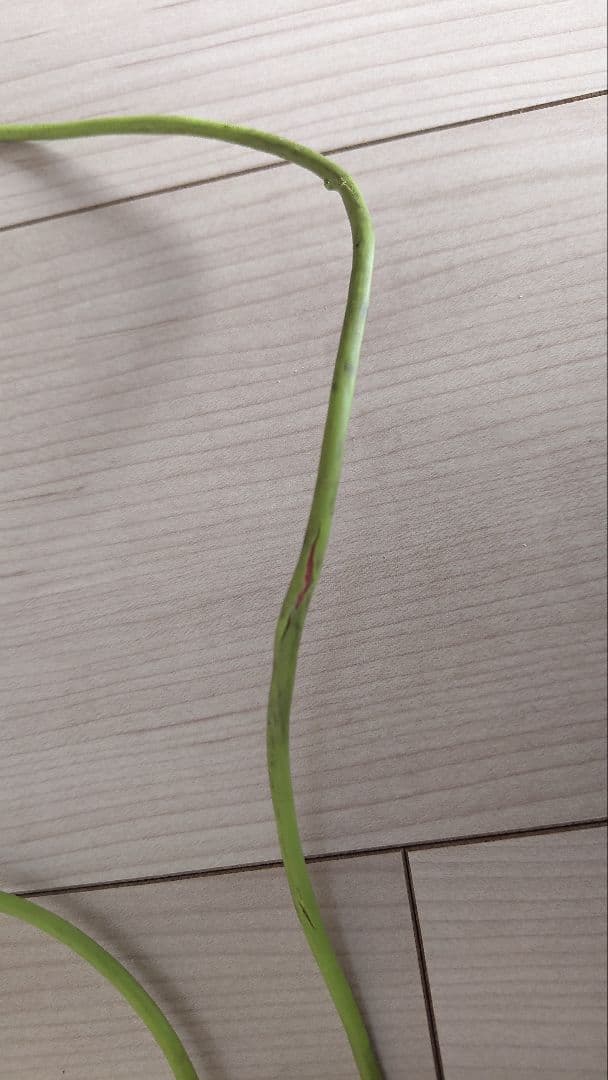 AKG Q701 ホワイト