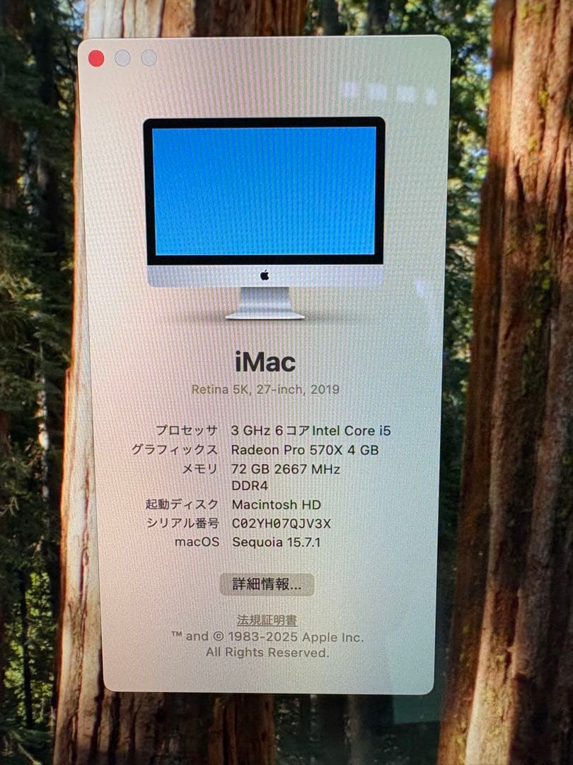 iMac 2019 27インチ メモリ72GB ストレージ1TB Core i5