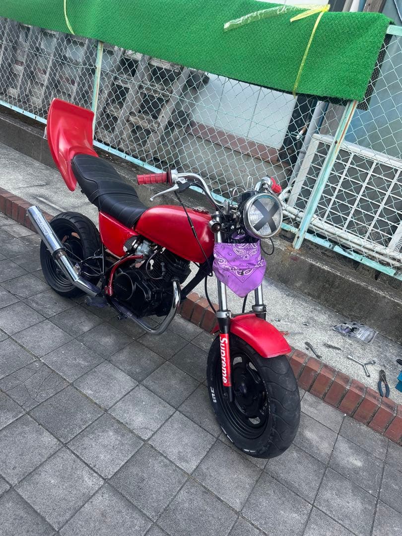 (ぱぴこ)　エイプ50 タックロールシート