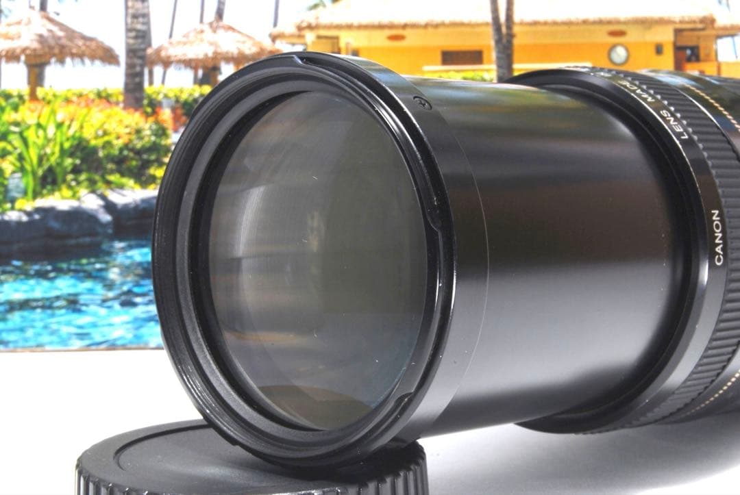 超望遠レンズ 大人気 卒業シーズン大活躍 Canon EF 75-300 USM