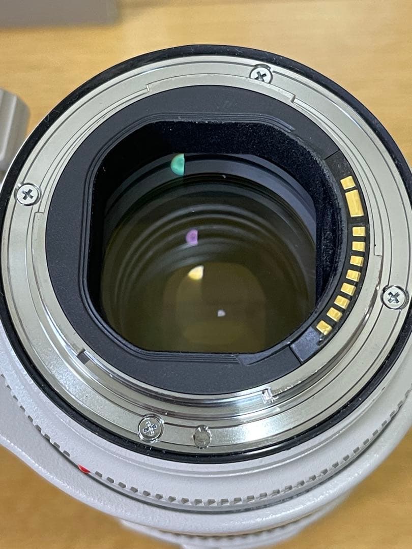 EF70-200mm F2.8L IS II USM ズームレンズ Canon