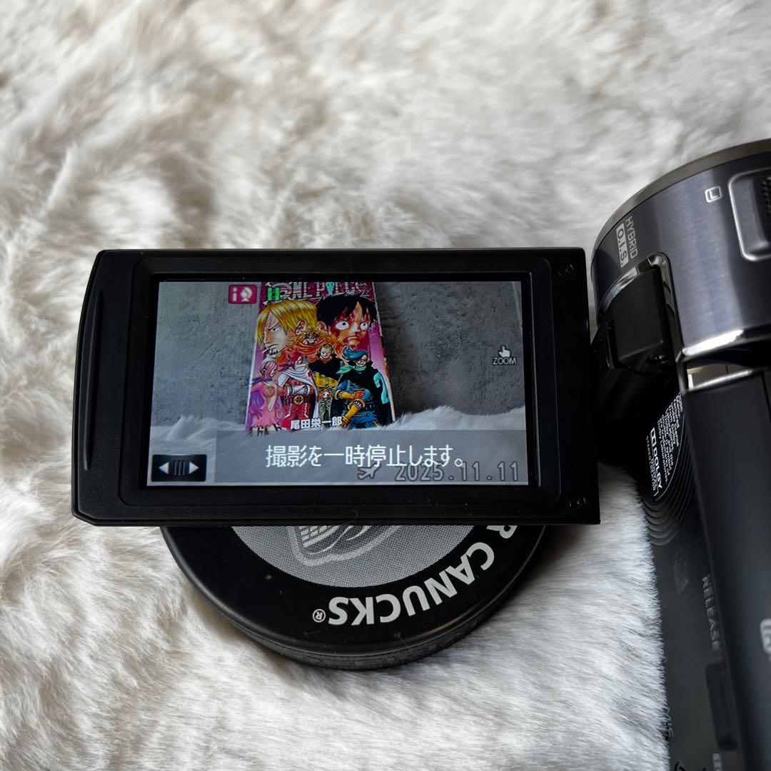 Panasonic HC-V700M ビデオカメラ フルHD 箱付