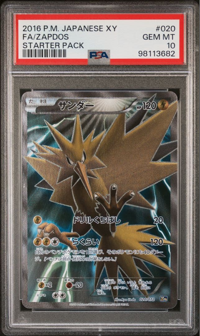 【PSA 10】 サンダー　SR XY