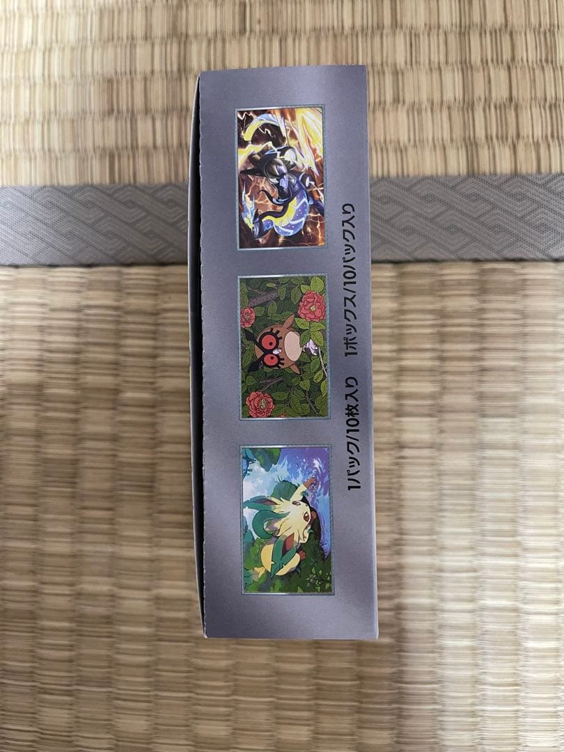 ポケモンカードゲーム テラスタルフェスEX