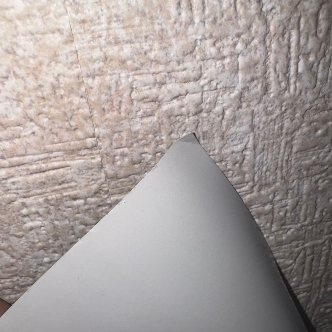 GMMTV MUSICON LYKN GEMINI 直筆 サイン入り ポスター