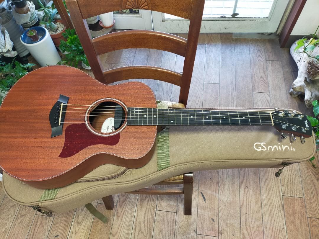 Taylor GS Mini Mahogany　ES-Go pickup付