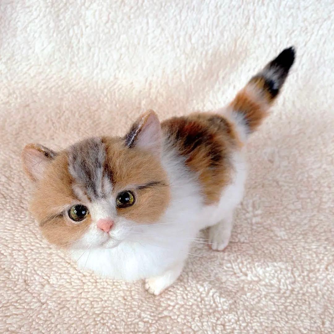羊毛フェルト猫　全身　リアル可愛い三毛のマンチカン