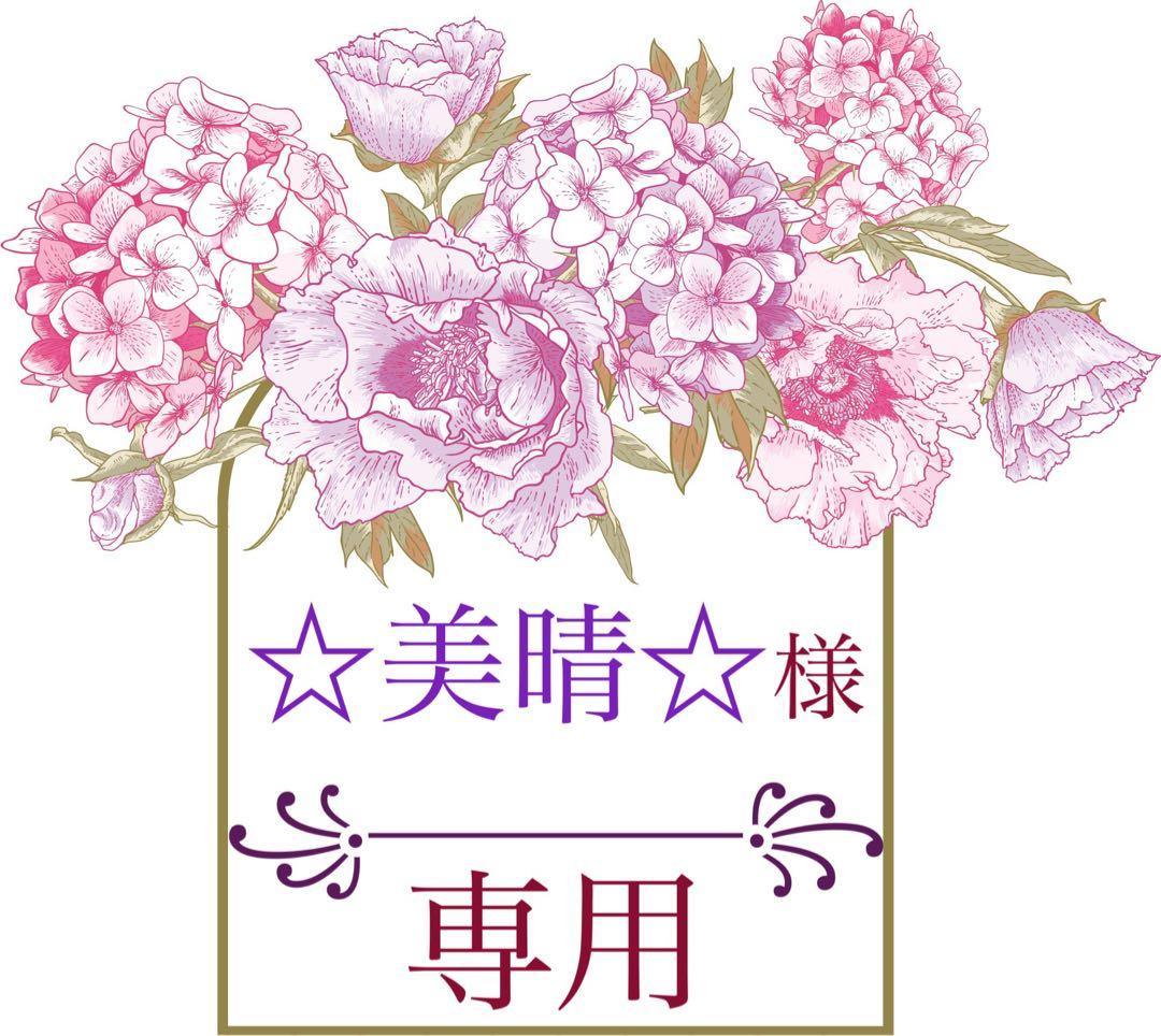 ❁☆美晴☆❁