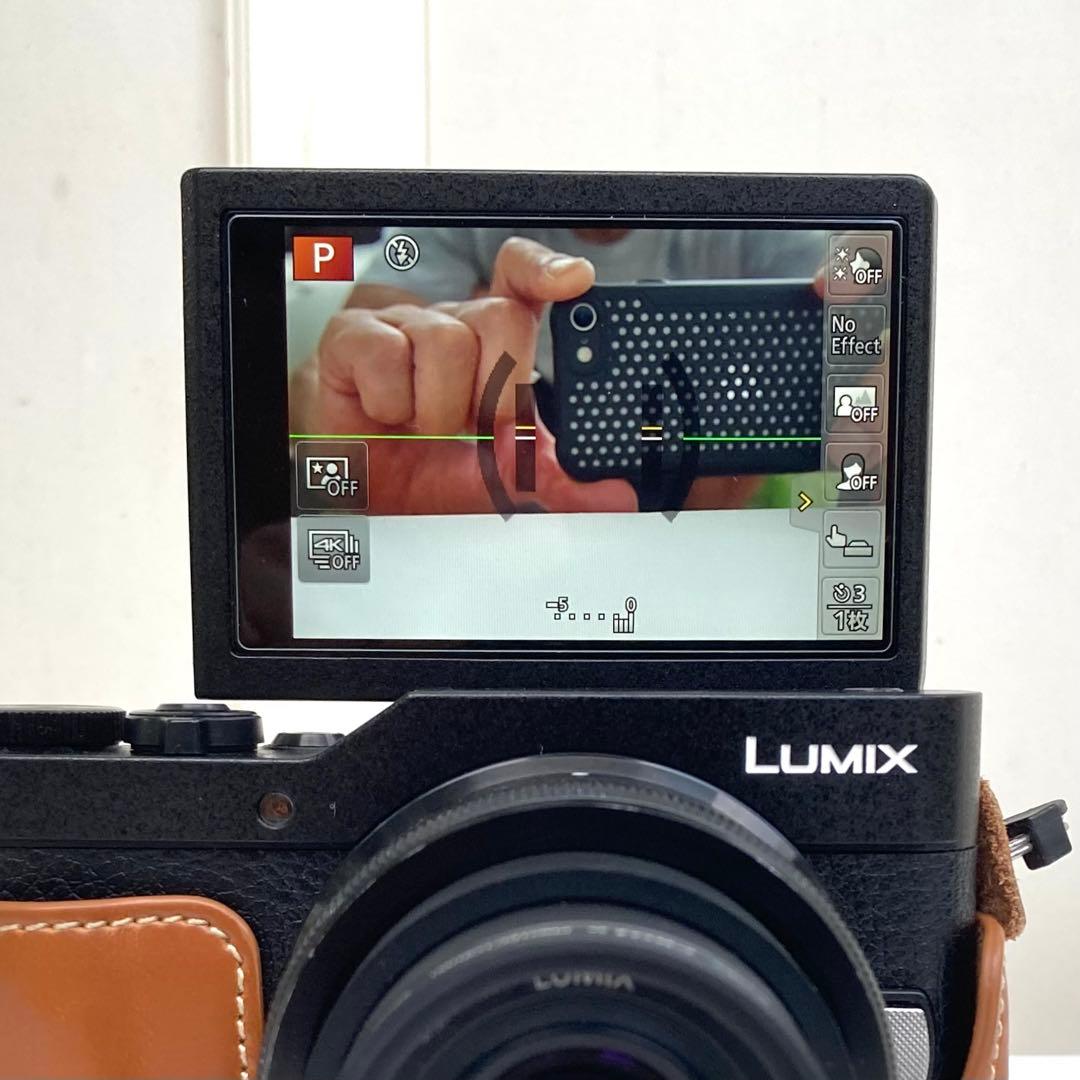 LUMIX DC-GF10 ミラーレスカメラ 4K動画対応 パナソニック