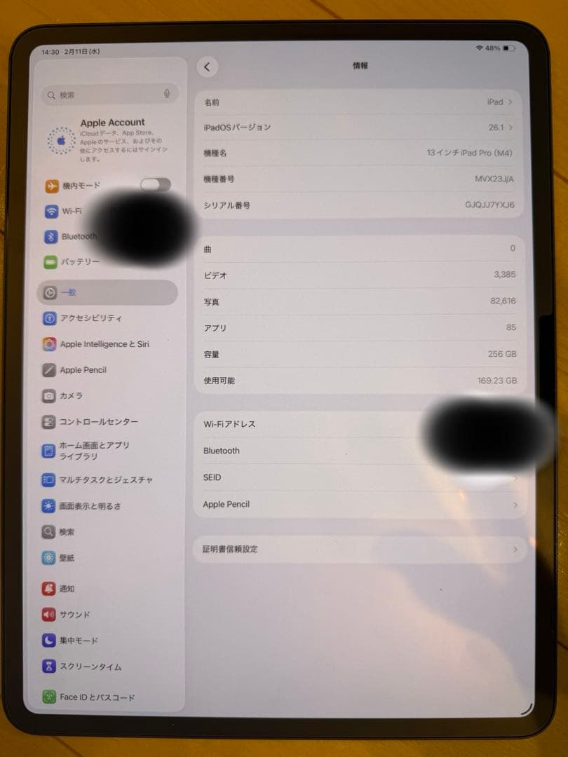 iPad Pro (M4) 13インチ256GB WiFiモデルスペースブラック