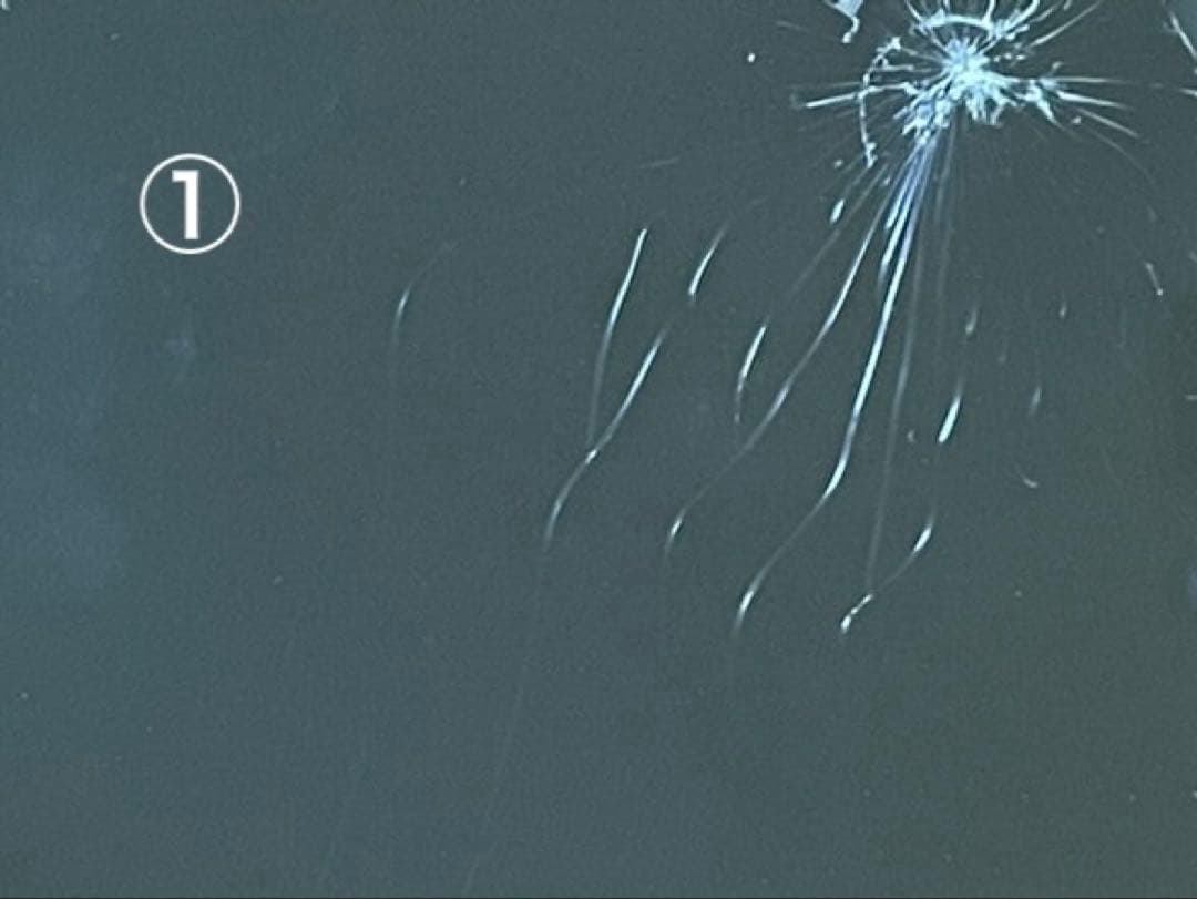 Apple iPhone15 ブルー 本体 訳あり