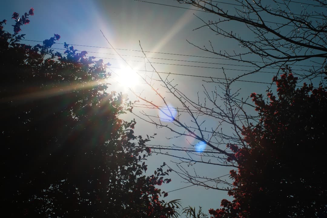 【整備テスト】オリンパス Zuiko Auto-S 40mm F1.4 379