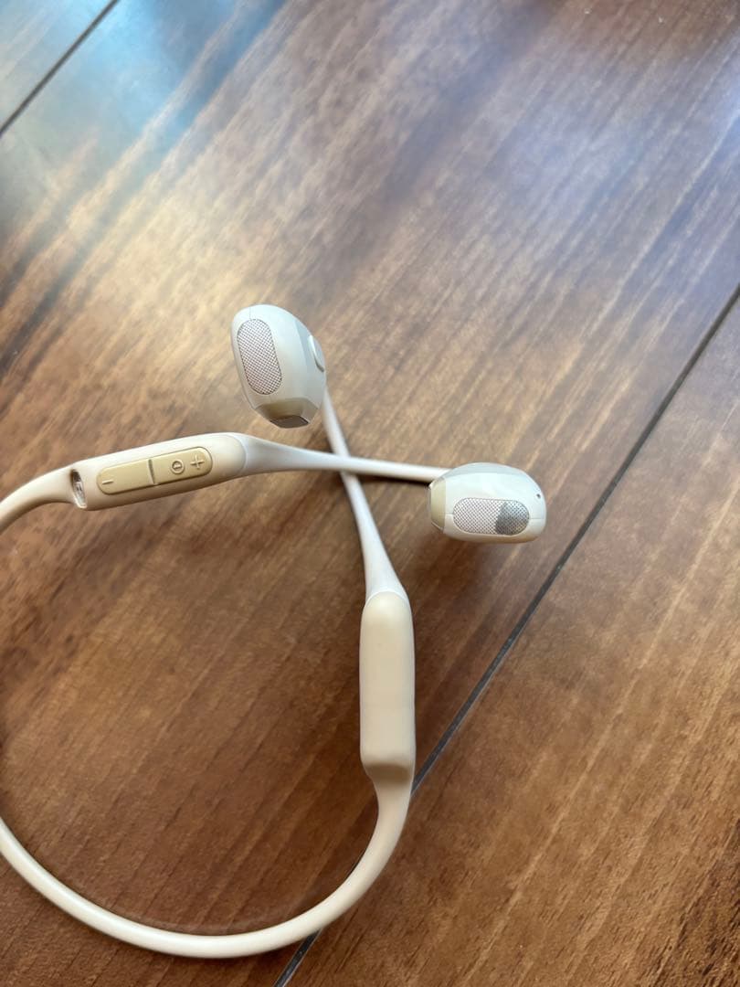 SHOKZ　OPENRUN Mini