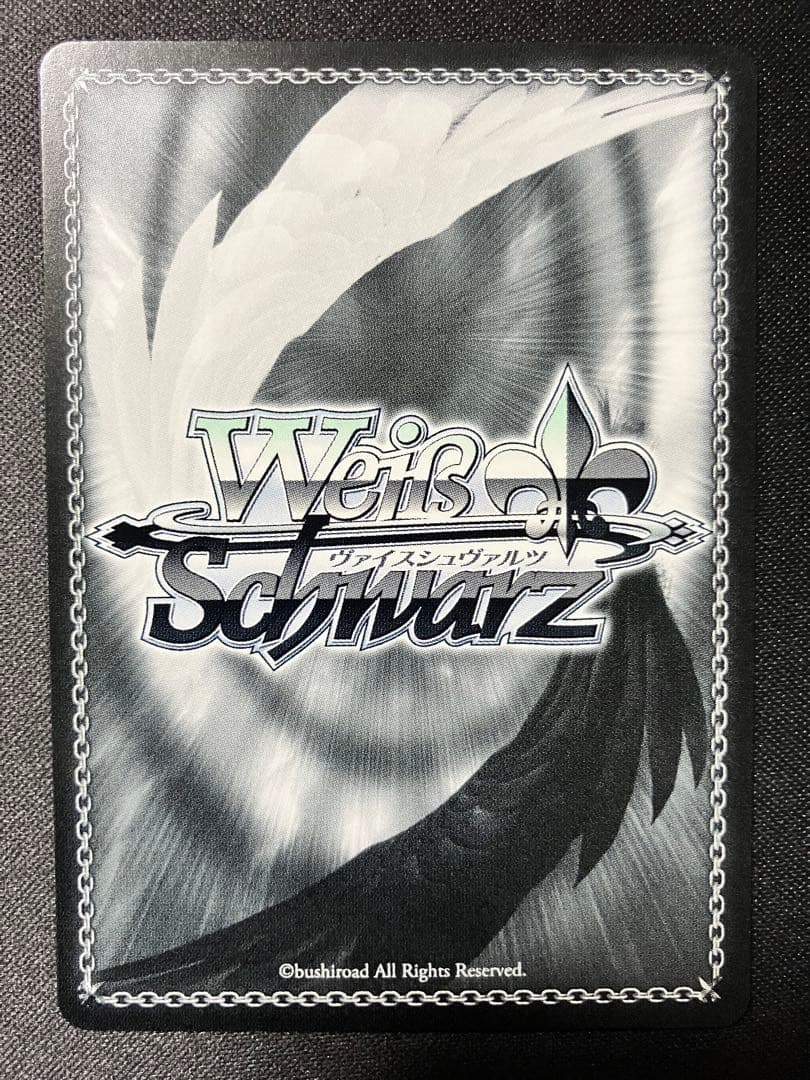 St.ヒルデ魔法学校 アインハルト SSP なのは