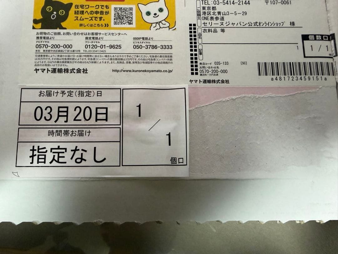 CELINE　トリオンフ スモール グルメット ネックレス　付属品完備　エディ期