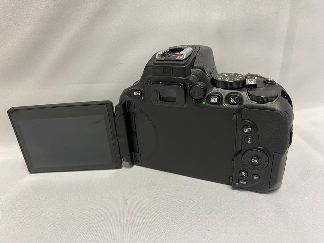ショット数348回のみ★美品★ニコン Nikon D5300ダブルズームキット
