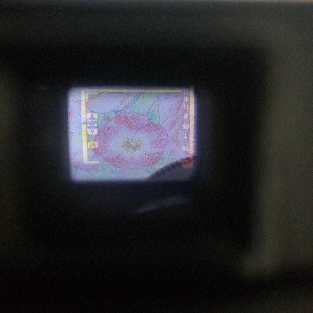 ☆☆文字消無❕ 露出計動作 極上美品☆☆ピッカリコニカ C35 EF