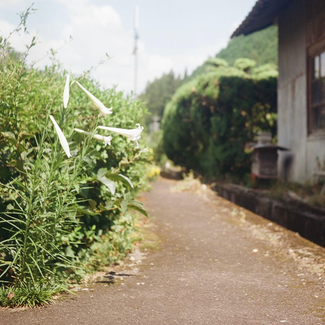 Rolleiflex Flex 二眼レフカメラ
