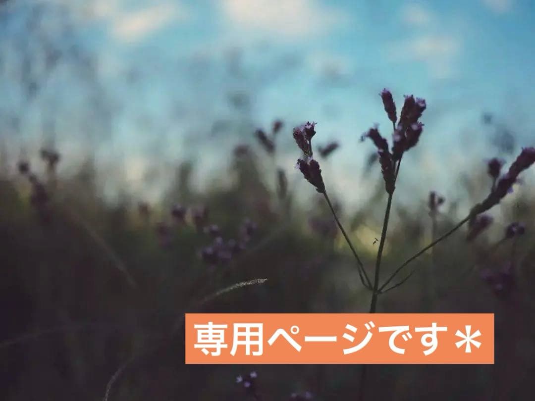 ハニーフラットページです♬