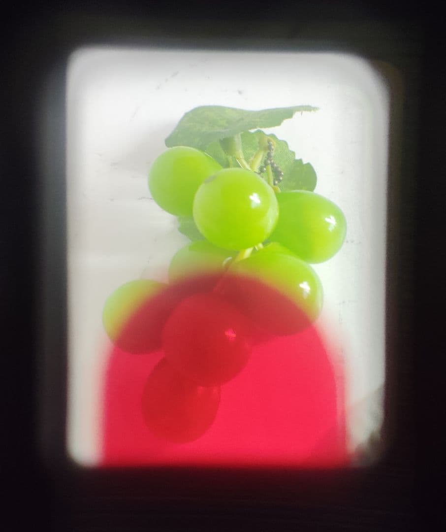 OLYMPUS-PEN EED（動作美品）