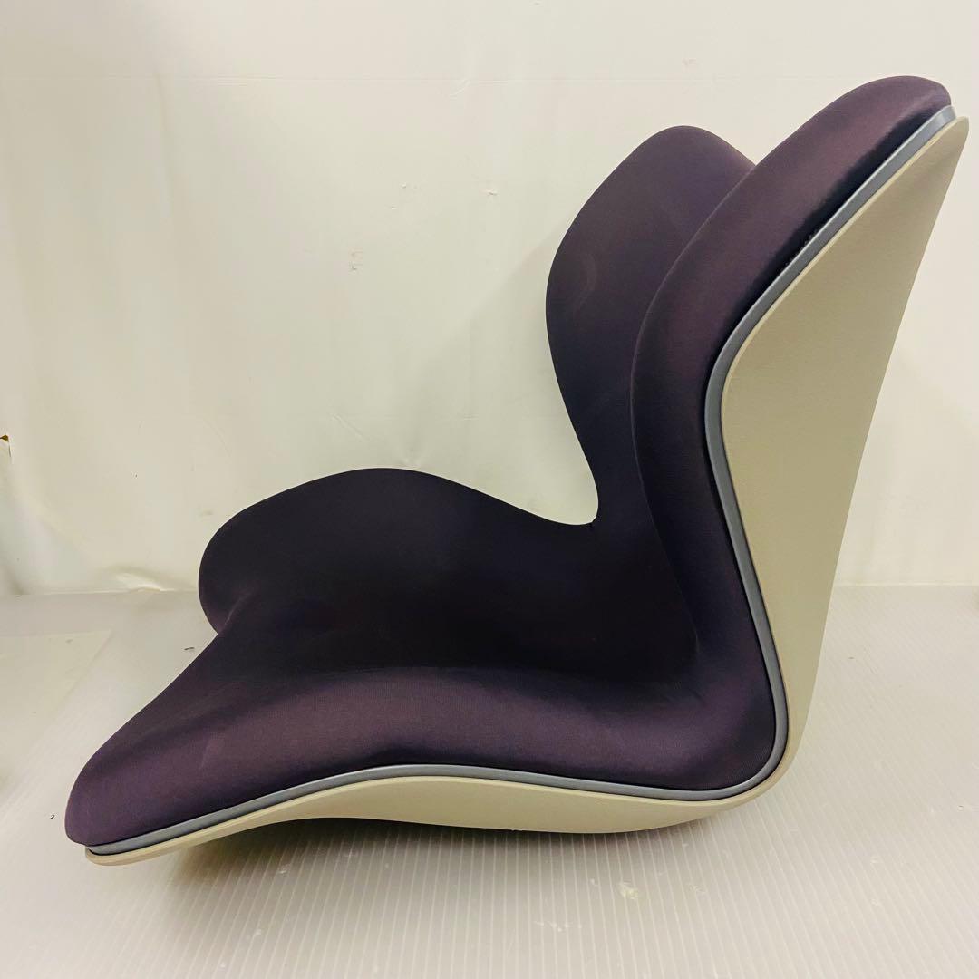 1h31 Style PREMIUM スタイルプレミアム 骨盤矯正 ブラウン