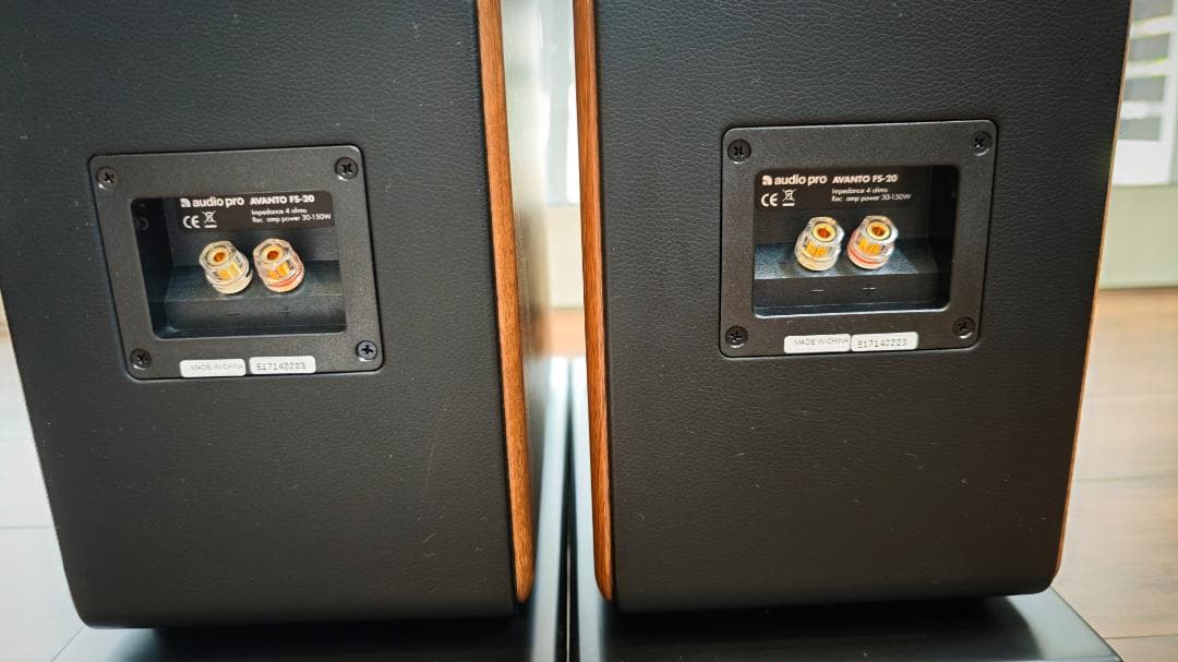 オーディオ プロ audiopro AVANTO FS-20 ペアセット