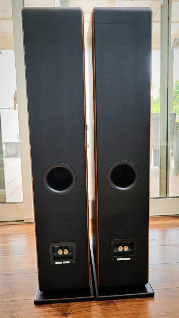 オーディオ プロ audiopro AVANTO FS-20 ペアセット