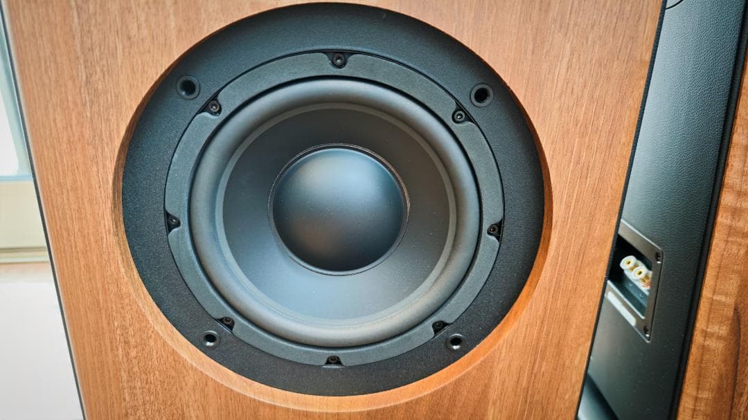 オーディオ プロ audiopro AVANTO FS-20 ペアセット