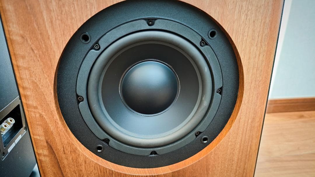 オーディオ プロ audiopro AVANTO FS-20 ペアセット