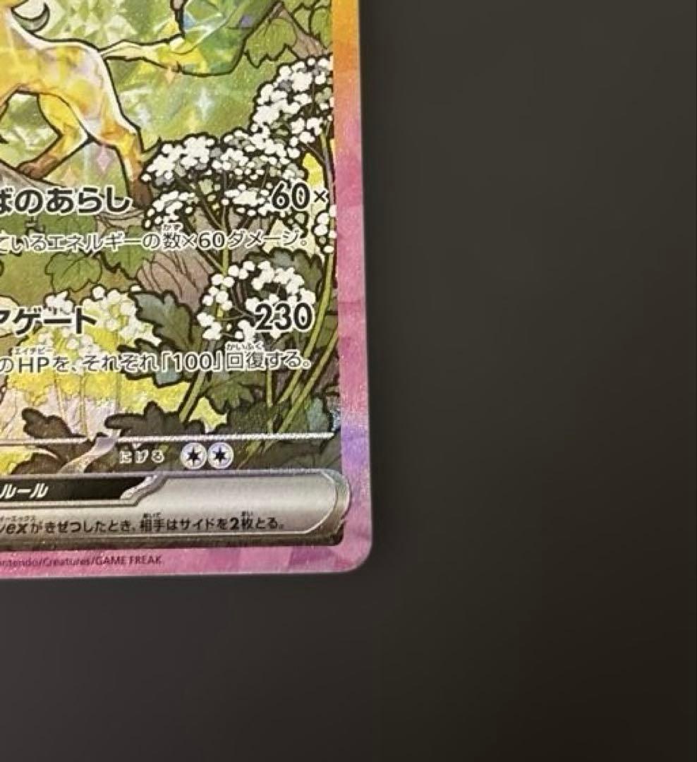 テラスタルフェスex サンダース　リーフィア　sar