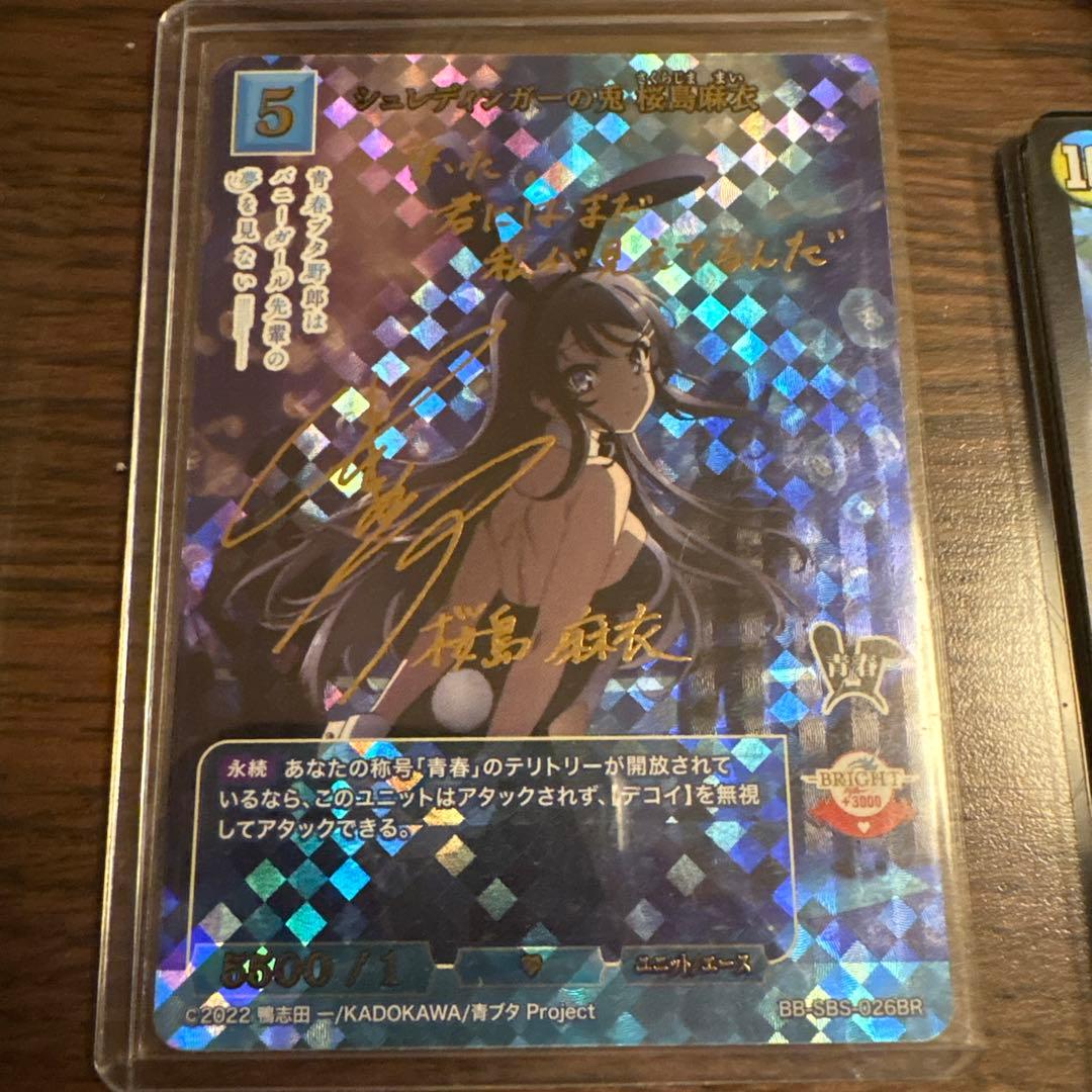 シュレディンガーの兎　桜島麻衣　ビルディバイド